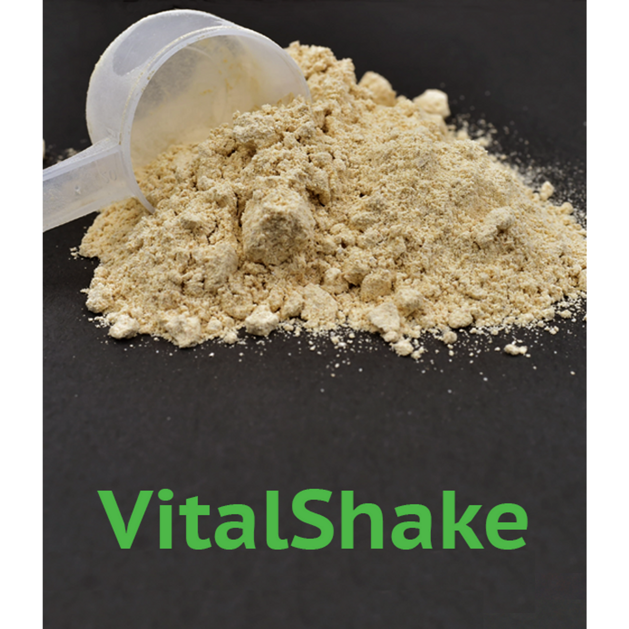 Vitalshake Protein x 1,1lb