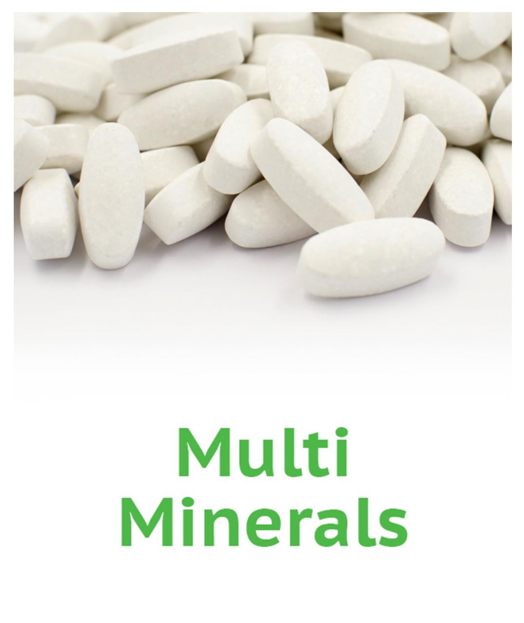 Multi Minerals VitalBulk 200 pastillas